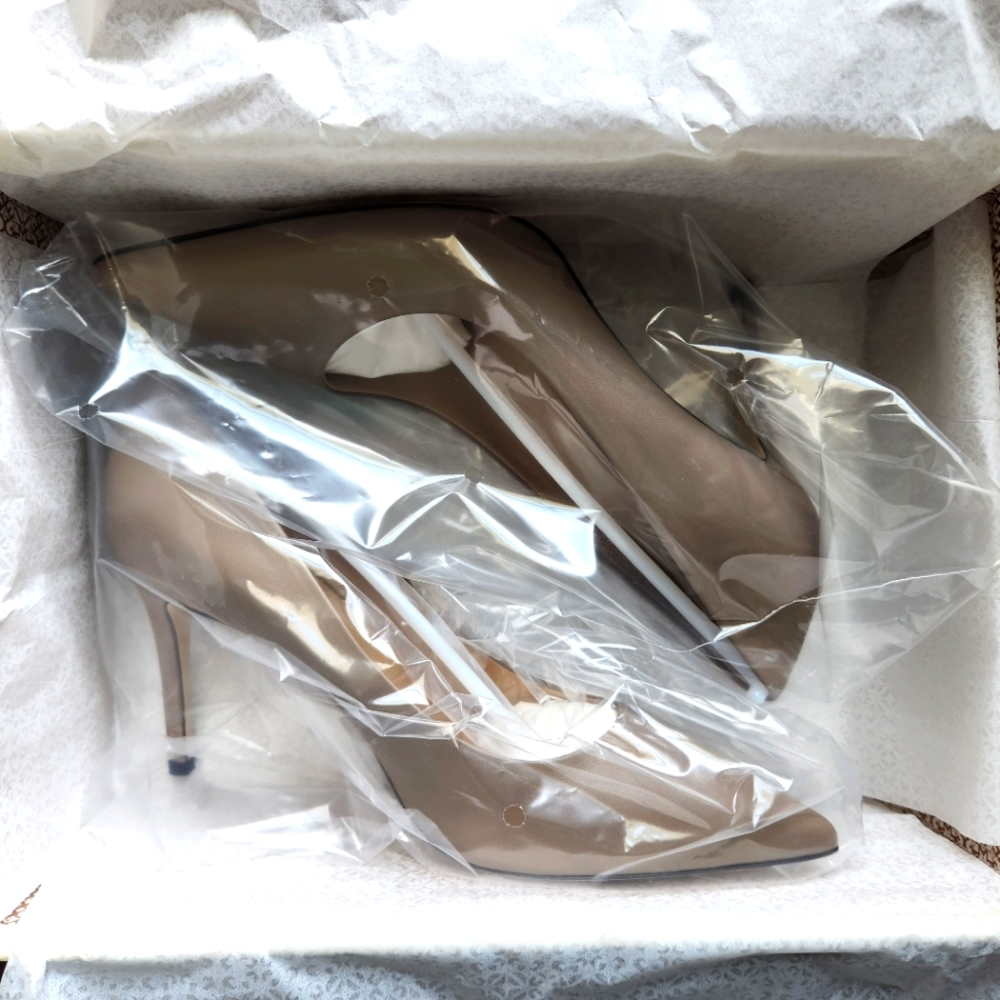 M. Gemi pumps (The Esatto)